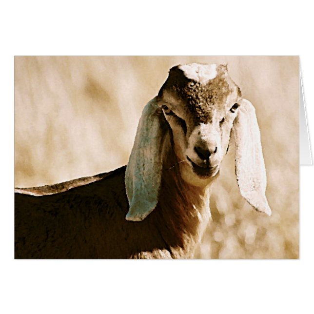 Nubio (Anverso (Horizontal))