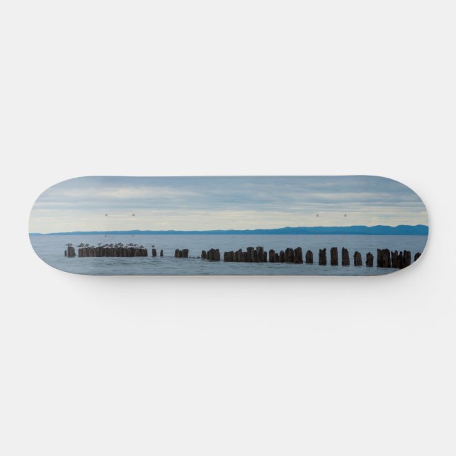 Nublado En El Skateboard De Whitefish Bay (Horz)