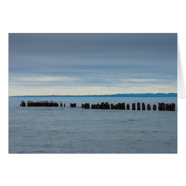 Nublado En La Bahía De Whitefish (Anverso (Horizontal))