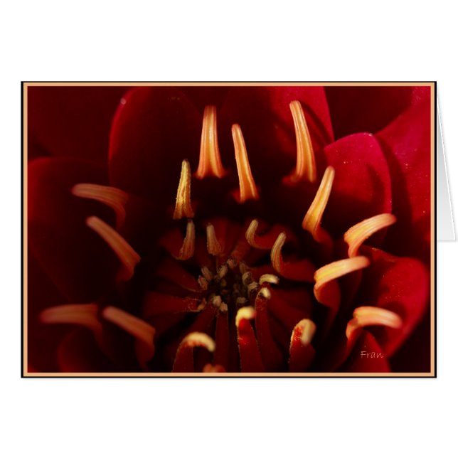 núcleo de escarlett (Anverso (Horizontal))