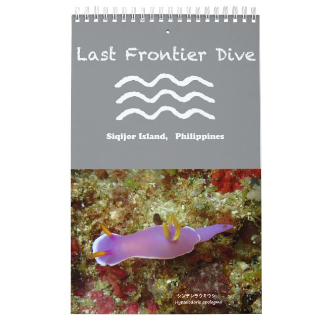 Nudibranchs en Siquijor: Calendario de escritorio (Tapa)