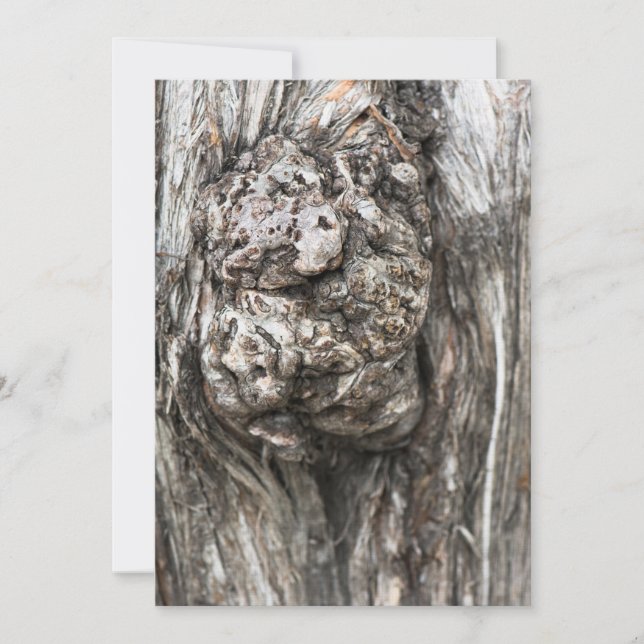 Nudo del tronco del árbol (Anverso)