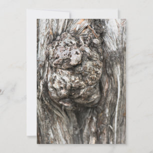 Nudo del tronco del árbol