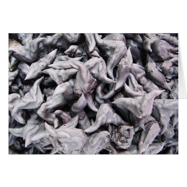 Nueces de búfalo - Tarjeta de caltropo de agua (Anverso (Horizontal))