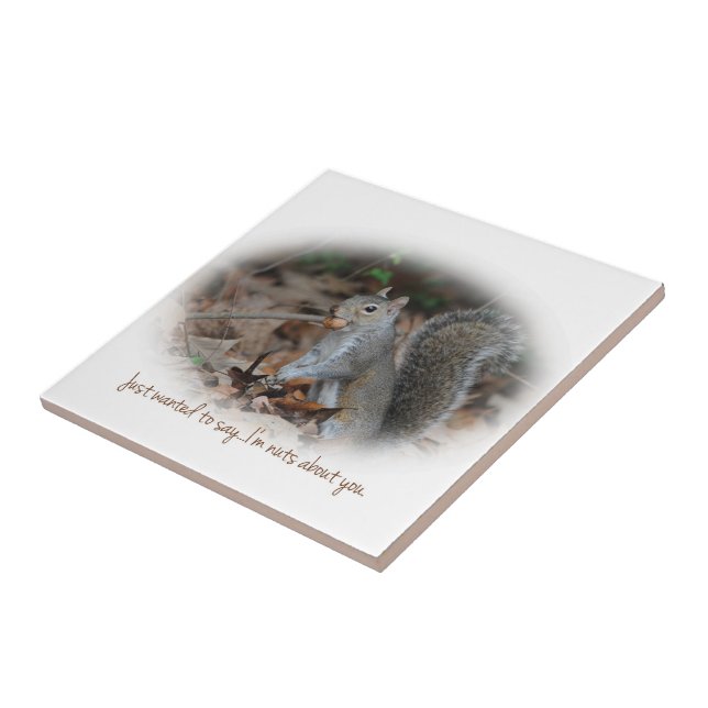 Nueces de la ardilla sobre usted teja Trivet (Lado)