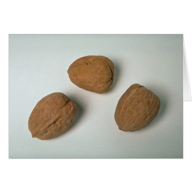 Nueces de Nutritionous (Anverso (Horizontal))