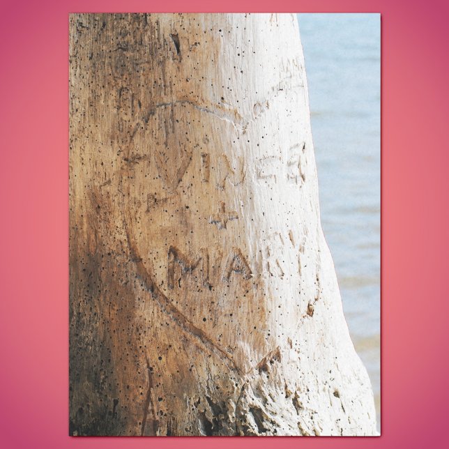 Nuestro amor tallado en un papel de árbol (Subido por el creador)