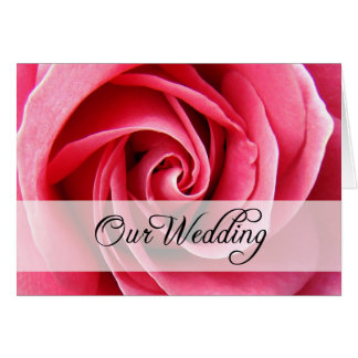 Nuestro Boda : Rosa Rosa Rosa Rosa: