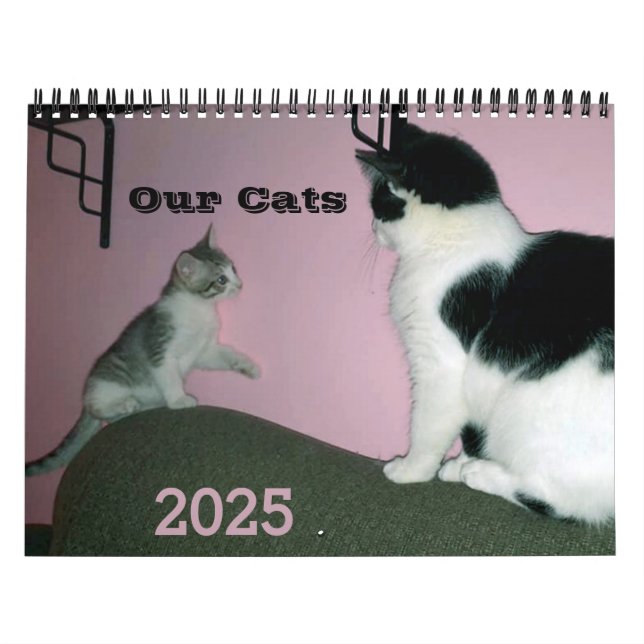 Nuestro calendario personalizado de gatos (Tapa)