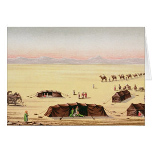 Nuestro campo del desierto