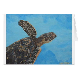 nuestro hanu 5x6.5 300