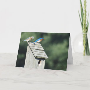 Nuestro nuevo hogar, tarjeta