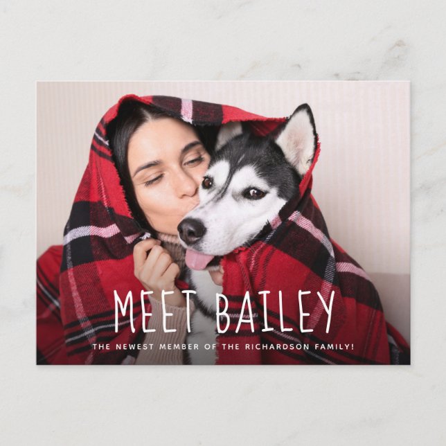 Nuestro nuevo perro Mascota | Invitación simple de (Anverso)