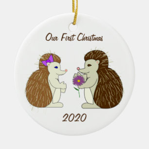 Nuestro primer ornamento del erizo del navidad