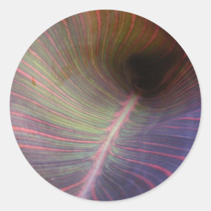 Nueva Canna Leaf ~ pegatina