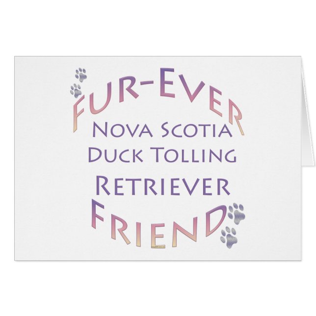Nueva Escocia Duck Toler Furever (Anverso (Horizontal))
