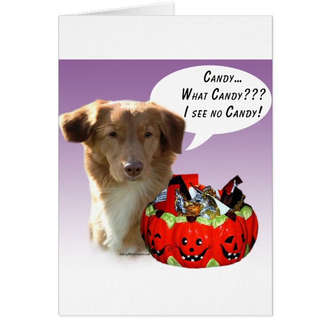Nueva Escocia Duck Tolever Halloween Candy (Frente)