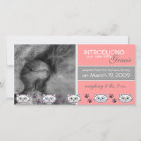 Nueva Invitación de Adopción Mascota