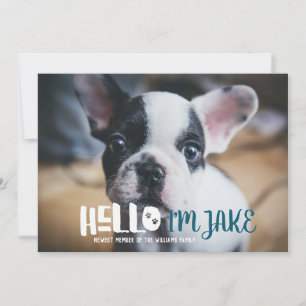 Nueva Invitación de Adopción Mascota   Hola