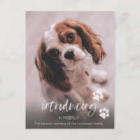 Nueva Invitación de Cachorro, Adopción de Perro Ad