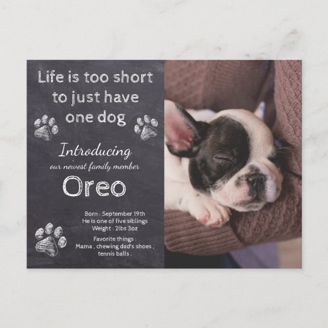 Nueva Invitación de Cachorros de Cachorro de Fotog (Anverso)