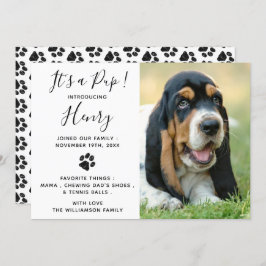 Nueva Invitación de Cachorros Mascotas