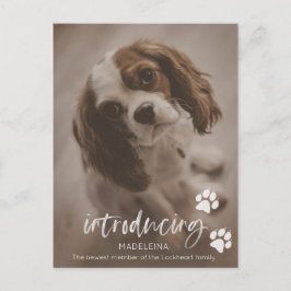 Nueva Invitación de cachorros o perros, tarjeta de