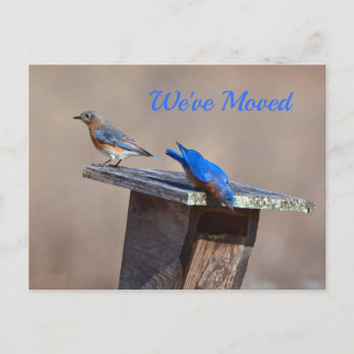 Nueva Invitación residencial