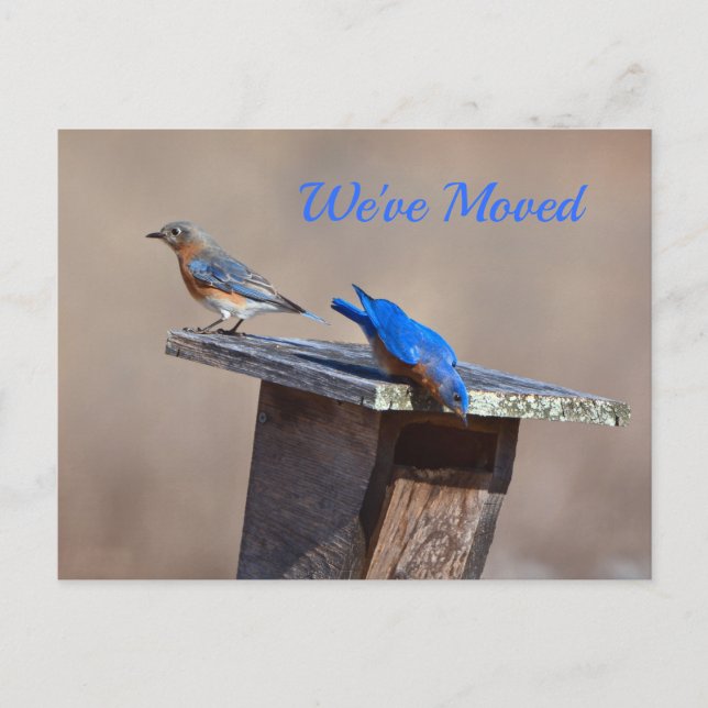 Nueva Invitación residencial (Anverso)