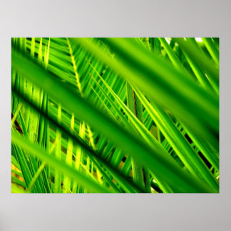 (Nueva llegada) Impresión de Posters