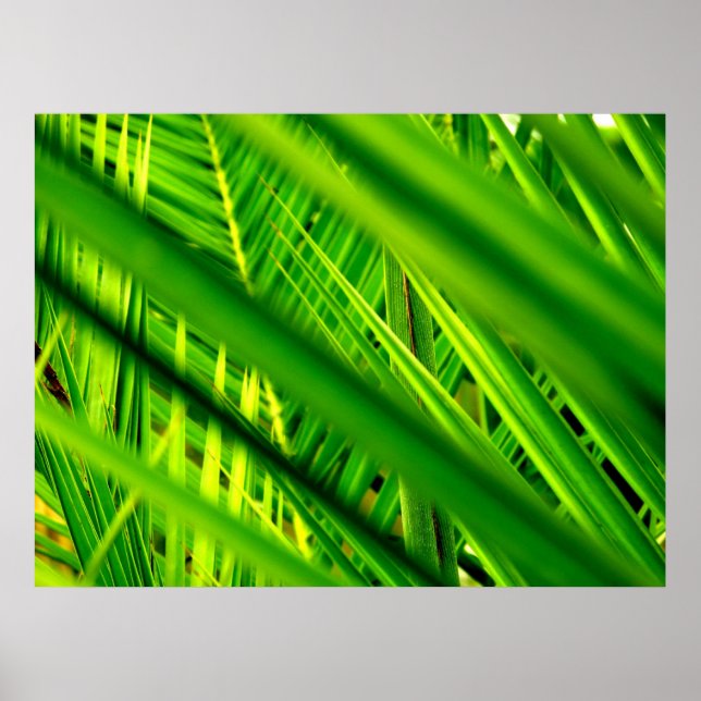 (Nueva llegada) Impresión de Posters (Frente)