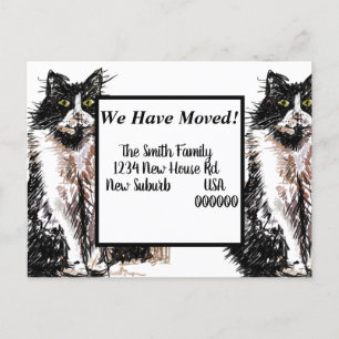 Nueva postal de dirección de gato de Tuxedo, nos e