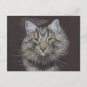 Nueva postal de Invitación Mascota