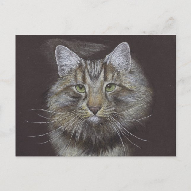 Nueva postal de Invitación Mascota (Anverso)