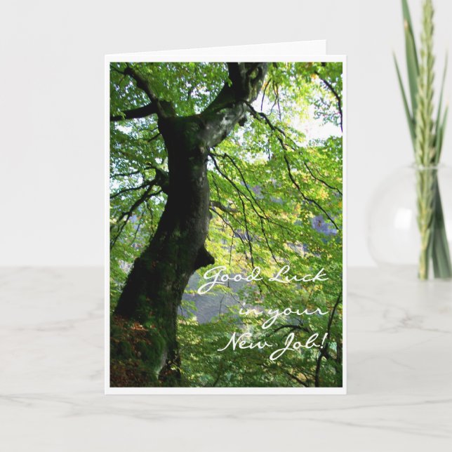 Nueva Tarjeta de Buena Suerte de Trabajo (Anverso)