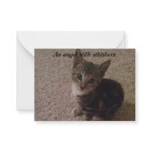 Nueva tarjeta de gatito