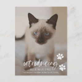 Nueva tarjeta de Invitación para gatos o gatos