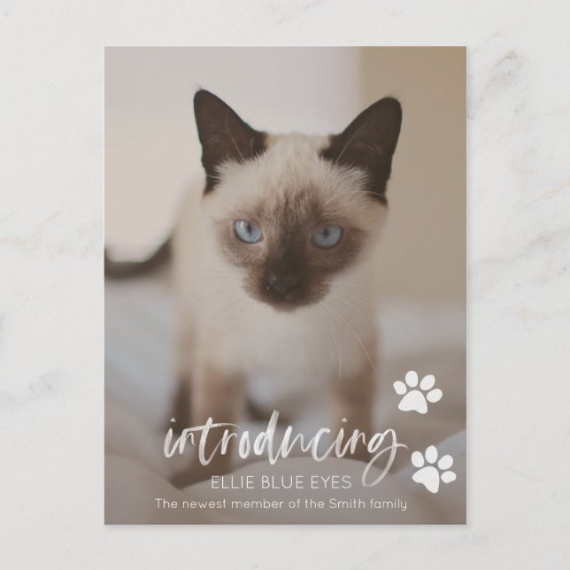 Nueva tarjeta de Invitación para gatos o gatos (Anverso)