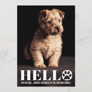 Nueva tarjeta de la foto de la invitación de la