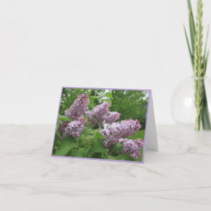 Nueva tarjeta de nota de Hampshire Purple Lilacs