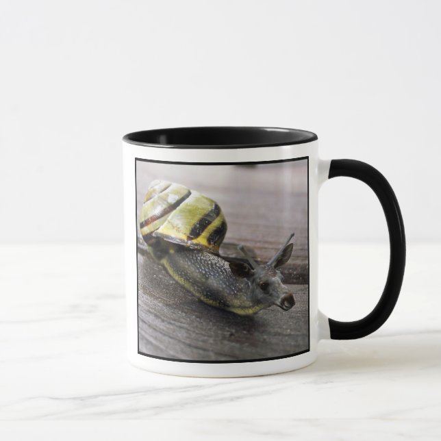 Nueva" taza de Snoose " (Derecha)