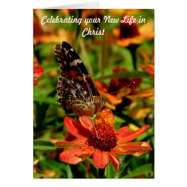 Nueva vida en Cristo (Frente)