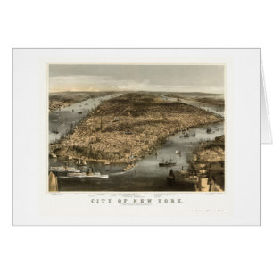 Nueva York, mapa panorámico de NY - 1856