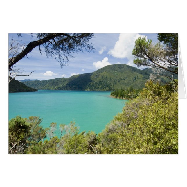 Nueva Zelanda, Isla Sur, Marlborough Sounds. (Anverso (Horizontal))