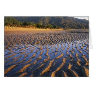 Nueva Zelanda, Parque Nacional Abel Tasman, Costa