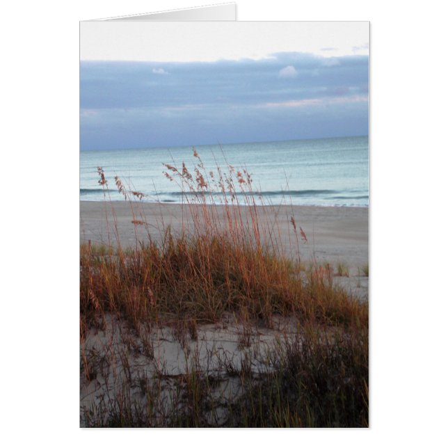 Nuevas dunas (Frente)