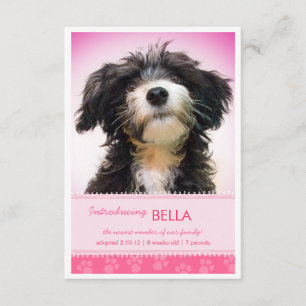 Nuevas pinturas rosadas Mascotas para Invitación C