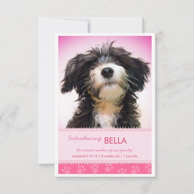 Nuevas pinturas rosadas Mascotas para Invitación C (Anverso)