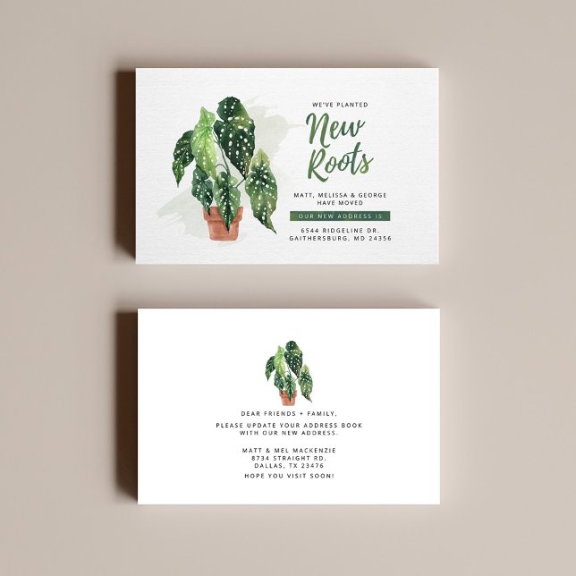 Nuevas raíces cambio de dirección Invitación móvil (Subido por el creador)