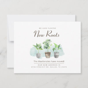 Nuevas Raíces Moviendo Nueva Invitación De Direcci